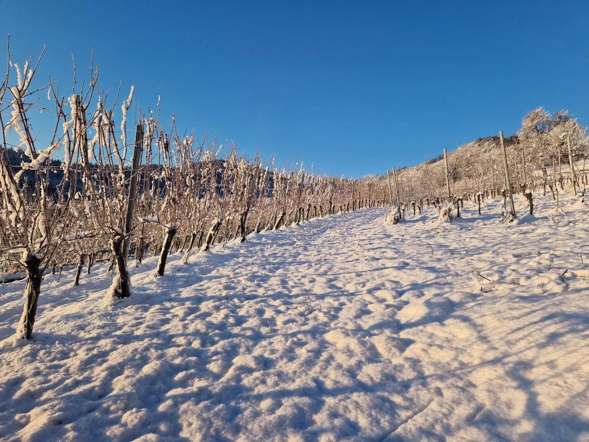 Auszeit Am Weinhof Apartment Loschental Luaran gambar